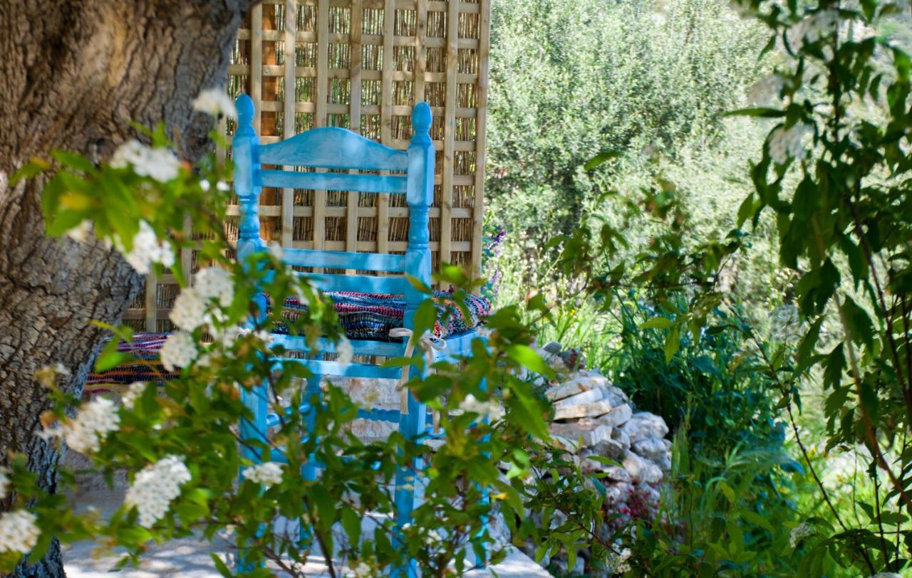 The Olive Cottage - Ithaca 바티 외부 사진