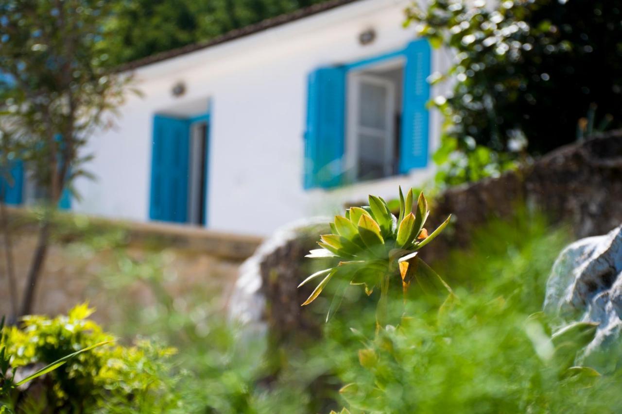 The Olive Cottage - Ithaca 바티 외부 사진